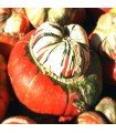 Turkish turban squash - untreated seeds