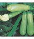 Genoese zucchini - untreated seeds