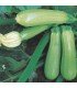 Courgettes génoises - graines non traitées