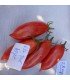 Tomato Artisan Pink Tiger - untreated seeds