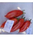 Tomato Artisan Pink Tiger - untreated seeds