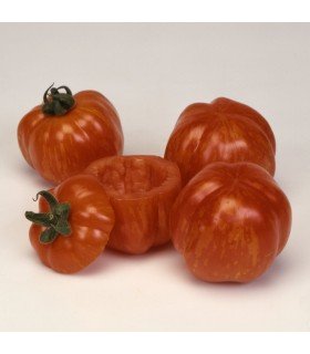 Tomate Striped Stuffer