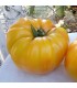 Tomate amarillo Saint Vincent