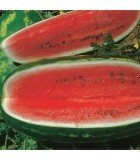 Watermelons and melons